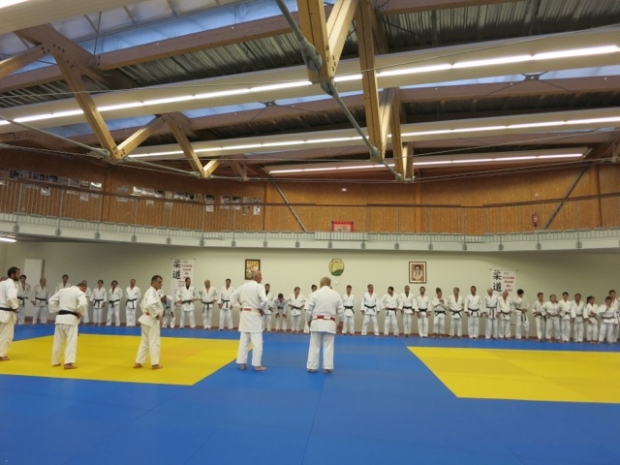 Photo générale des participants au salut dans le dojo.